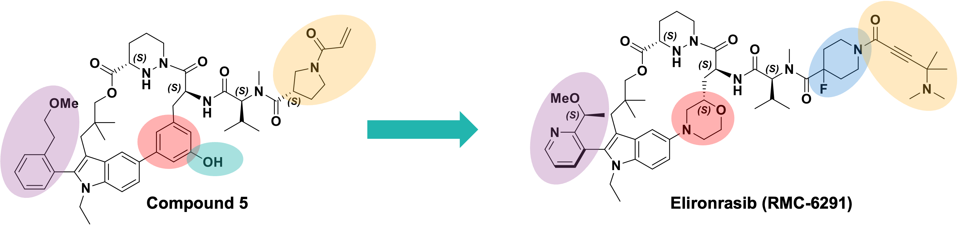 Development of Elironrasib from Compound 5