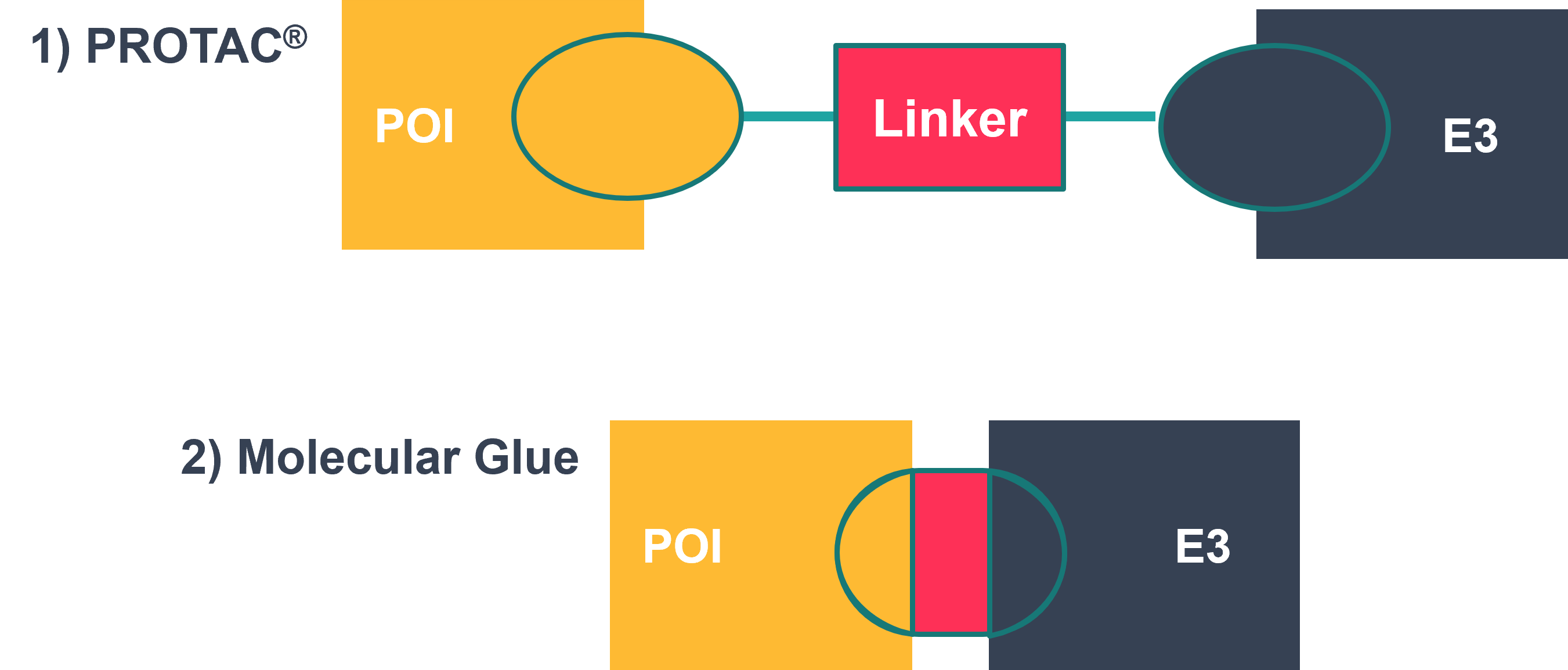 Graphic to show the difference between a molecular glue and protac(R)