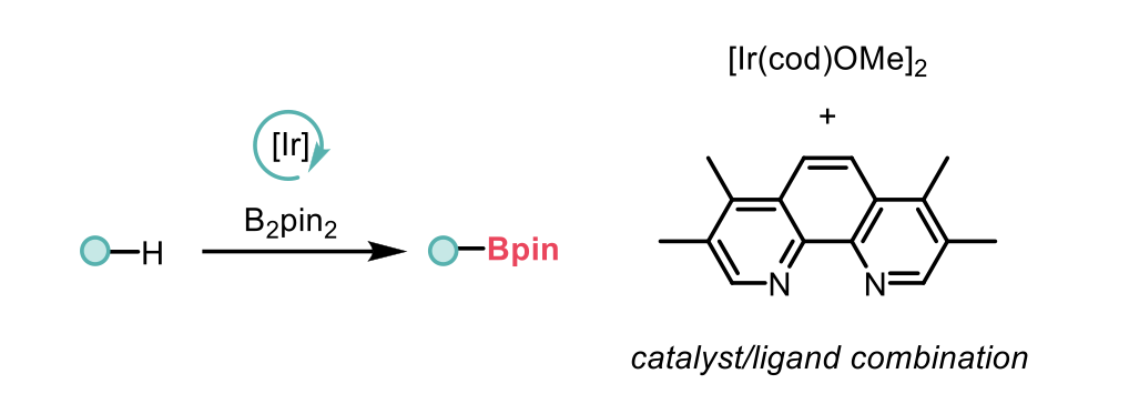 Traditional C-H borylation schematic