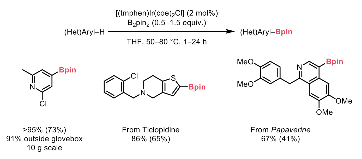 Examples of C-H borylation substrate scope. 