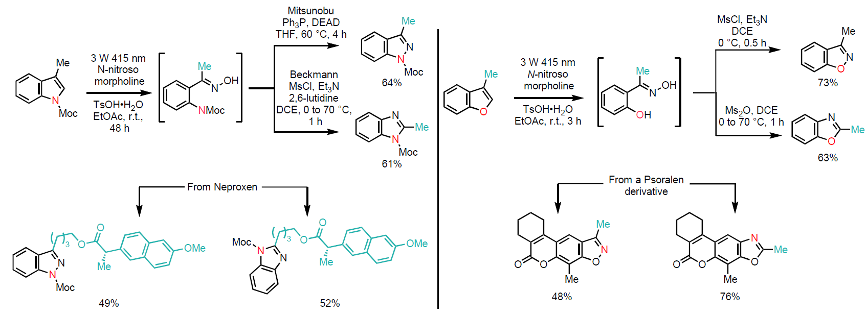 Skeletal editing of indoles (top, left) and benzofurans (top, right) and application to natural products (bottom, left and right).
