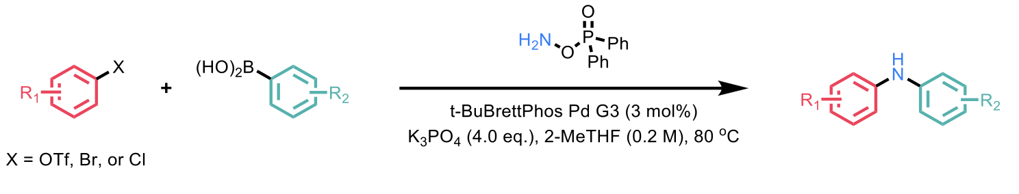 Combination of SMC starting materials with an amination reagent to afford BHC-like products.