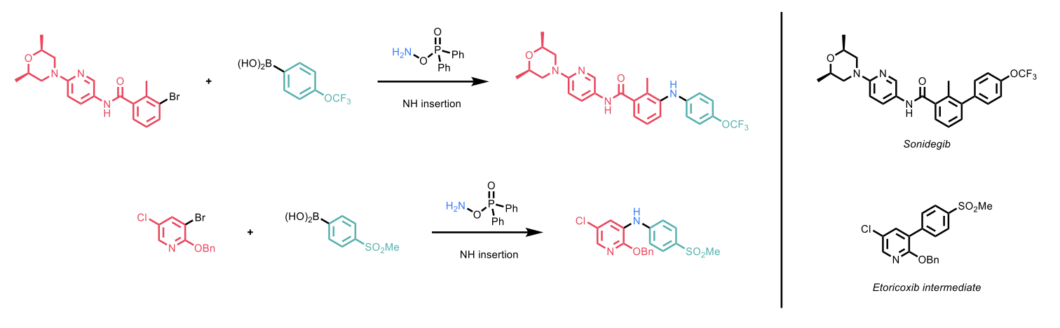 The synthesis of analogues of Sonidegib and Etoricoxib with NH insertions. 