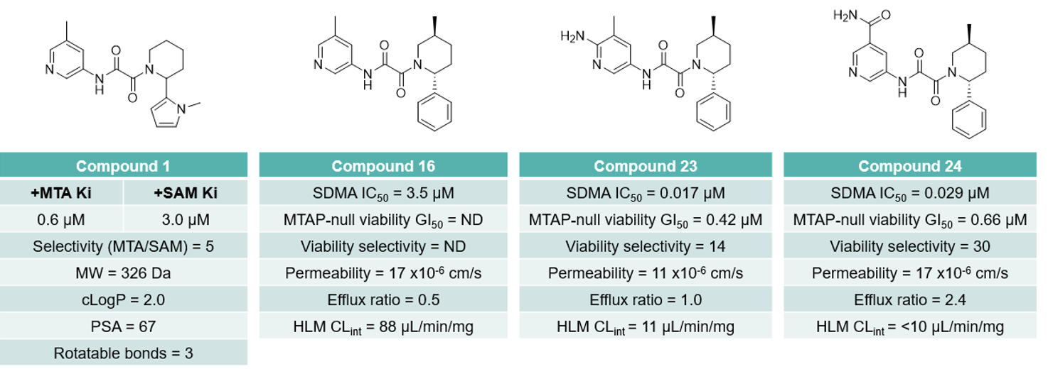 Structure of key analogues: hit compound 1, advanced compound 16 and selective compounds 23 and 24. PRMT5 dependent symmetric dimethylarginine (SDMA) quantified by in-cell western in MTAP-null HAP1 cells. Cell viability determined in isogenic HAP1 MTAP-null and MTAP-WT cell lines. Permeability in MDCKII-WT cells.