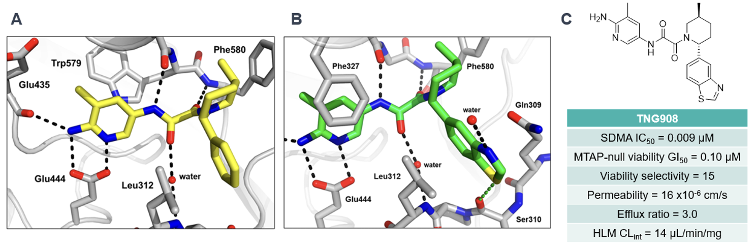 Co-crystal structures of compound 23 (A) and TNG908 (B) bound to PRMT5-MTA complex. (C) Structure of TNG908 and associated activity data