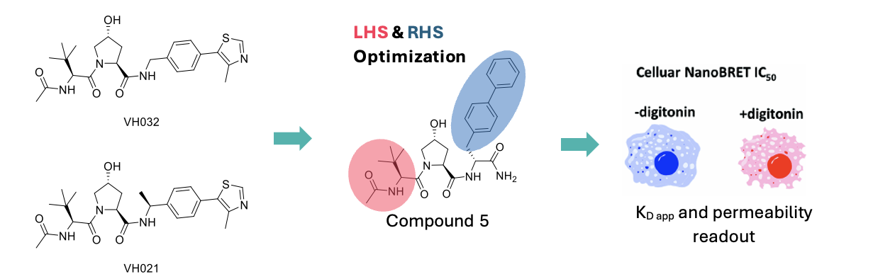 VHL commercial ligands (VH032 and VH021) and the optimisation strategy employed by Wu et al. 