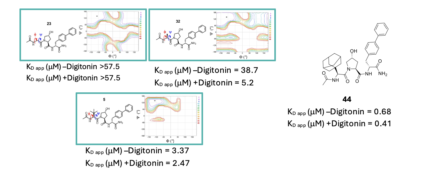 Torsion angle analysis of glycine substituent effect on conformation and structure of compound