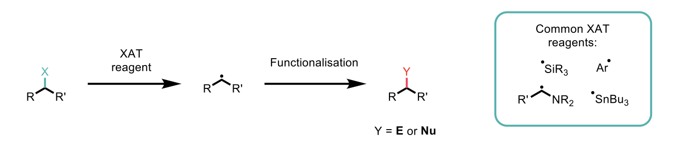 Overview of radical formation using XAT reagents and subsequent reaction with an electrophile or nucleophile