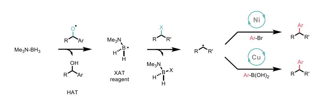 Use of alkyl halides in divergent cross-coupling reaction aided by XAT activation