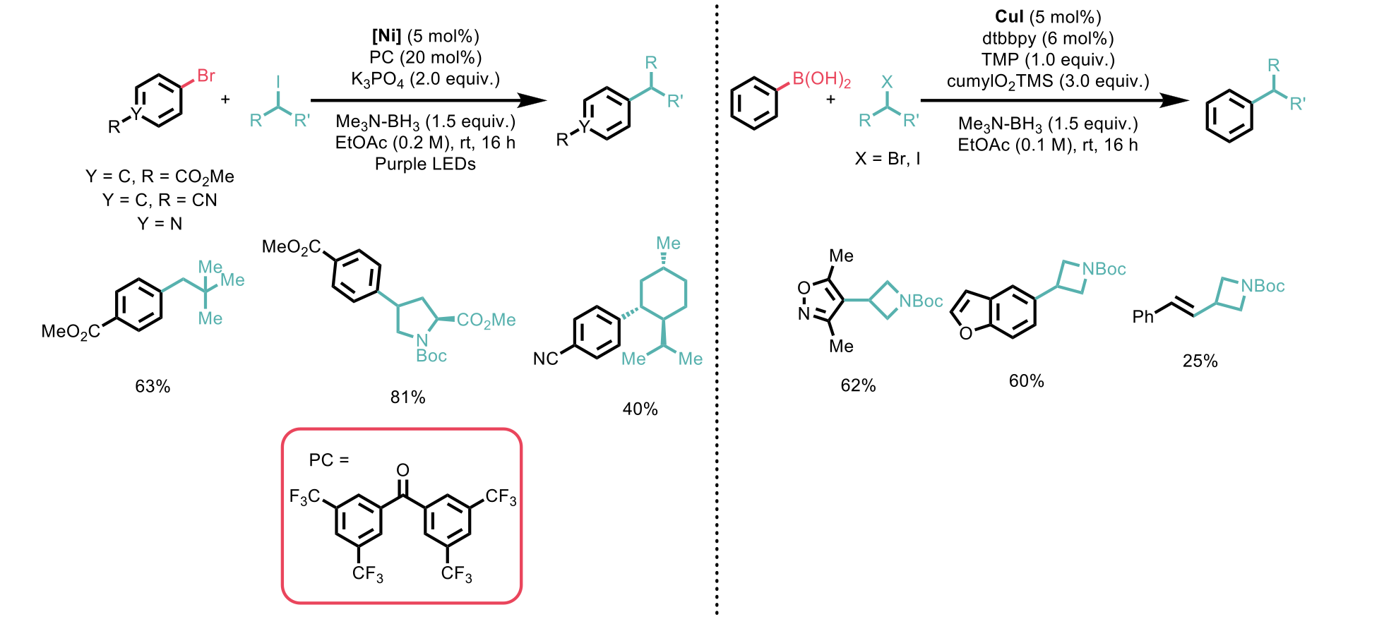 Examples of alkyl halide substrate scope for the cross-coupling reaction with electrophilic aryl bromides (left) and nucleophilic aryl boronic acids (right)