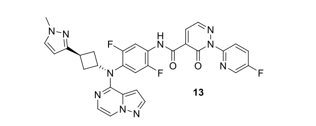 Figure 1: The structure of Compound 13