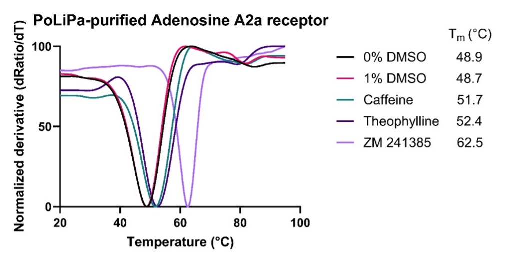 A line graph showing Thermal stability of PoLiPa purified Adenosine A2a receptor in the presence of DMSO and three known small molecule antagonists (caffeine, theophylline and ZM241385)