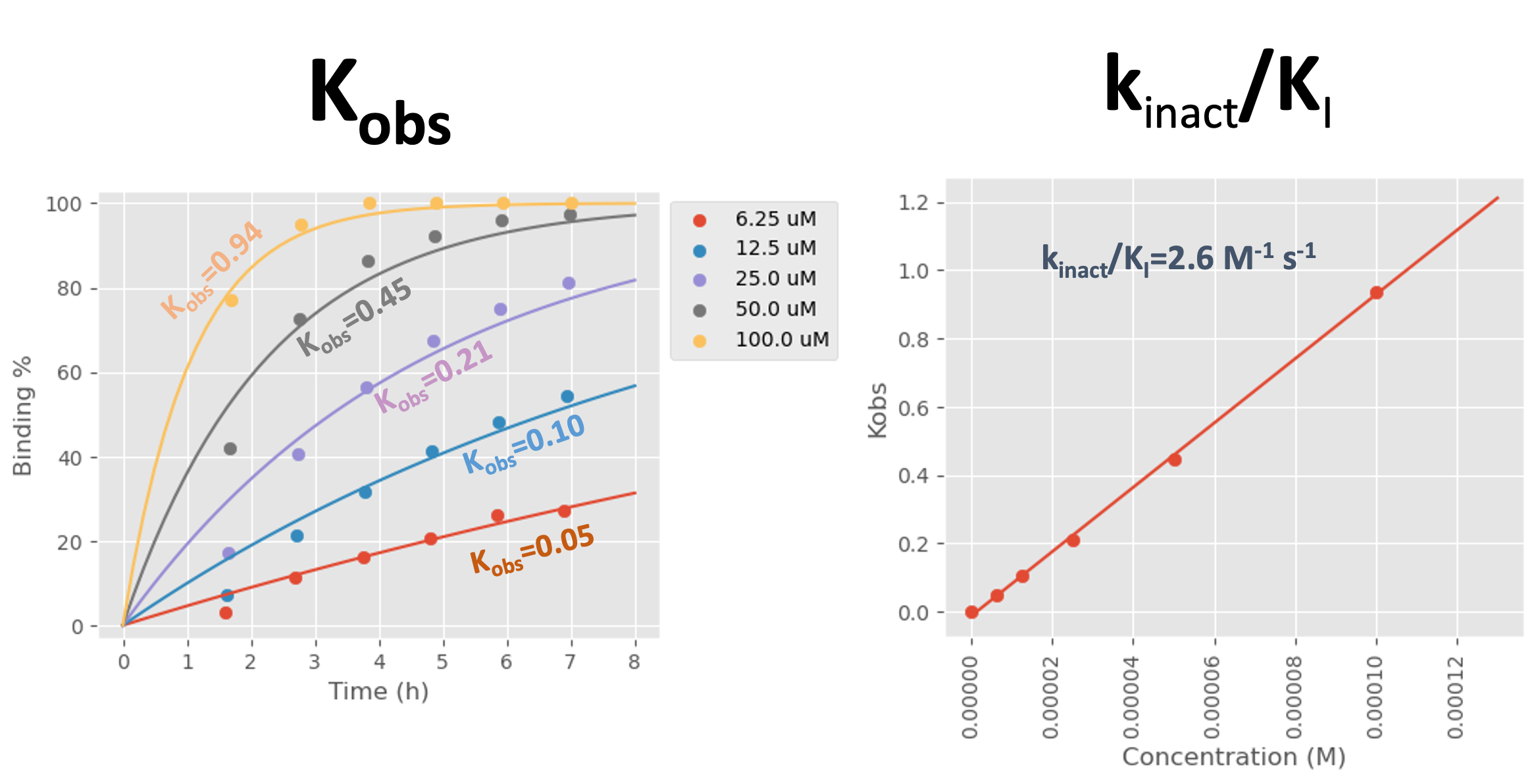 Kobs and kinact/KI data generated for a fragment from Domainex’s internal covalent fragment library against a client’s target protein.