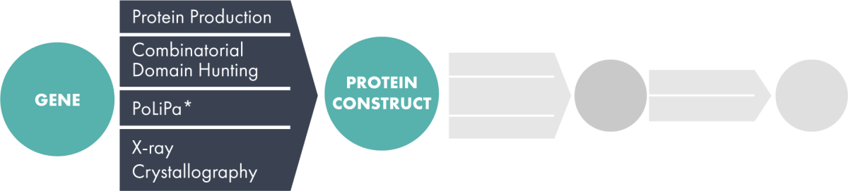 protein-production-graphic-large