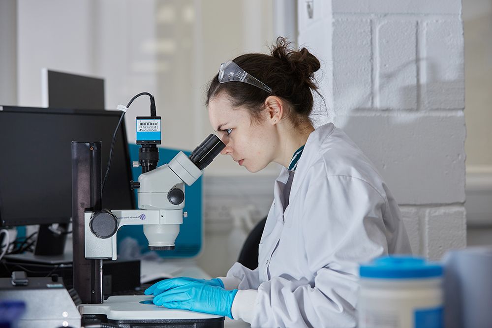 Scientist looking into a microscope