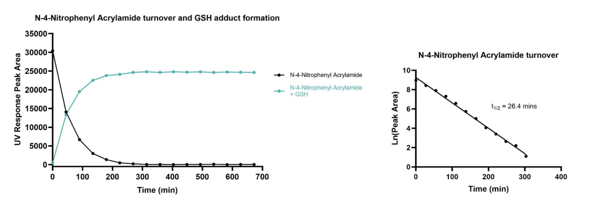 N4 nitrophenyl acrylamide turnover graphs