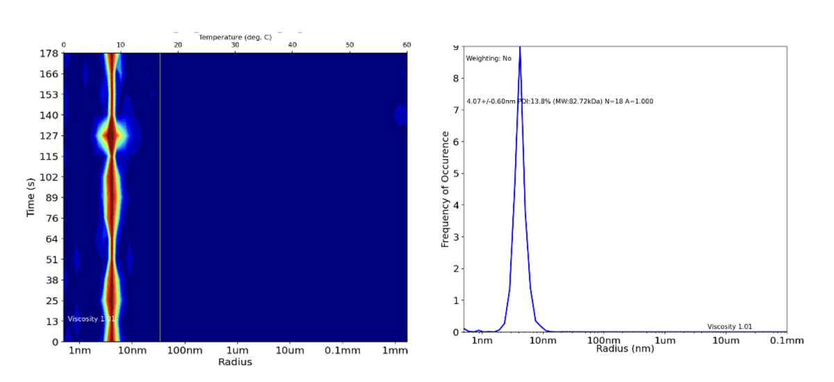 Figure 1: DLS data output for pure soluble protein. This result indicates that the sample is dimeric protein which shows no signs of aggregation over time and is therefore suitable for downstream applications such as X-ray crystallography.