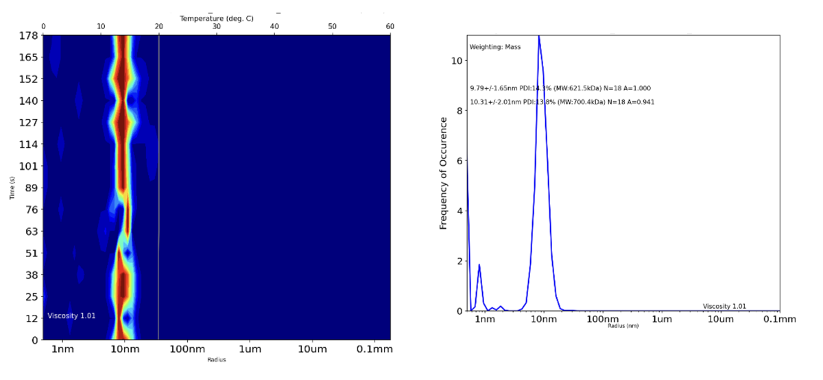 Figure 2: DLS data output for a PoLiPa-solubilised ion channel after affinity and size exclusion chromatography (SEC) purification. The result indicates that there is very little free polymer and that all the protein is likely to be solubilized within the polymer. Again, there is no evidence of aggregation over time, and therefore the protein is suitable for downstream applications such as Cryo-EM.